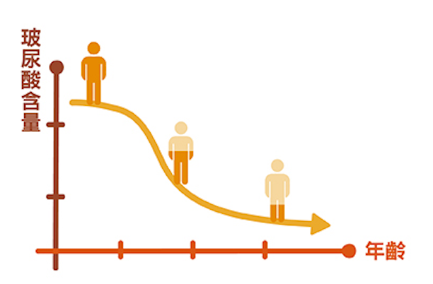 25 歲之後，體內透明質酸含量會逐年下降